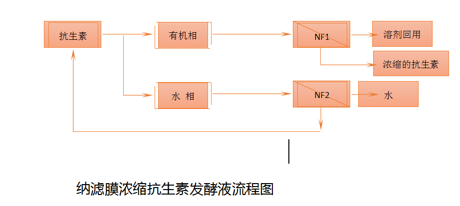 圖片6